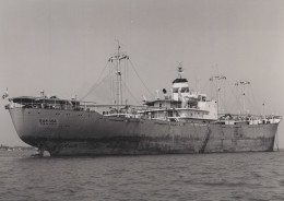 Delcampe - SAKINA Cargo Ship Panama Postcard Size Real Photo #SDF987 - Handel