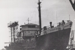 Delcampe - Sungei Bila Cargo Ship 1950 Postcard Size Real Photo #SDF992 - Handel