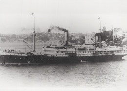 Delcampe - SS Waimana Steamship Postcard Size Real Photo #SDF980 - Dampfer