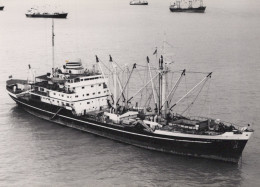 Delcampe - HAI KOU UNITY Cargo Ship Postcard Size Real Photo #SDF974 - Handel