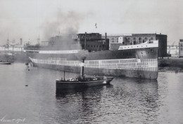 Delcampe - SS S-HERTOGENBOSCH Cargo Ship 1918 Postcard Size Real Photo #SDF961 - Dampfer