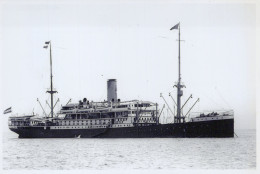 Delcampe - KPM Passenger Cargo Ship At Sea Postcard Size Real Photo #SDF962 - Handel