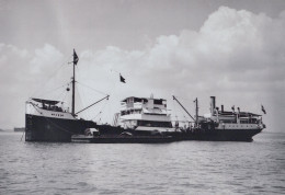 Delcampe - MV Oncho Ferry Ship Postcard Size Real Photo #SDF954 - Fähren