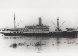 Delcampe - Gen Verspyck Passenger Ship Postcard Size Real Photo #SDF940 - Dampfer