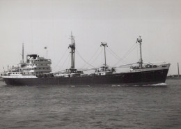 Delcampe - SENECAKUST Cargo Ship Postcard Size Real Photo #SDF935 - Handel