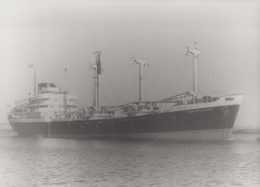 Delcampe - SENEGALKUST Cargo Ship 1956 Postcard Size Real Photo #SDF936 - Handel