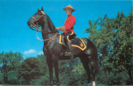 Delcampe - CPM Royal Canadian Mounted Police Militaria - Ohne Zuordnung