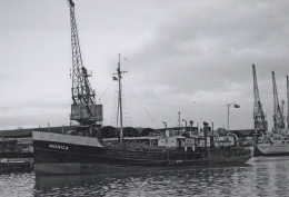 Delcampe - MONICA Cargo Ship 2061 Postcard Size Real Photo #SDH660 - Handel