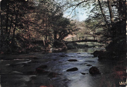 Delcampe - 89 AVALLON LE PONT DES GARDES - Avallon