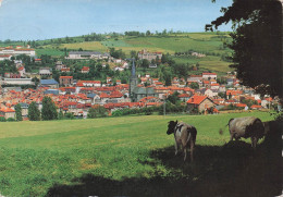 Delcampe - 15 AURILLAC CHATEAU ST ETIENNE - Aurillac