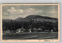 Delcampe - Steinbergen Ortsansicht - Rinteln