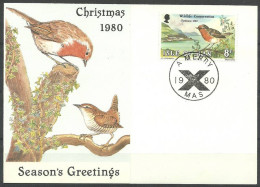 Delcampe - Isle Of Man 1980 Mi Kar 179 Cancelled (SLZE3 IOMkar179) - Umweltschutz Und Klima
