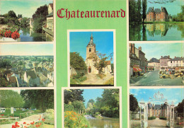 Delcampe - 84 CHATEAUNEUF DU PAPE VIGNOBLES - Chateauneuf Du Pape