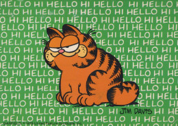 Delcampe - Finland Garfield Comic Cat Character Hello HI Greeting #SDT018 - Comicfiguren
