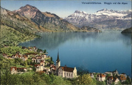 Delcampe - Weggis Vierwaldstaettersee Panorama Vierwaldstaettersee Und Die Alpen - Sonstige & Ohne Zuordnung