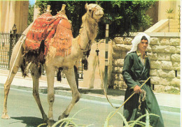 Delcampe - ISRAEL JERUSALEM VIEILLE VILLE - Israel
