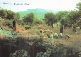 Delcampe - ISRAEL BETHLEHEM SHEPHERD S FIELD - Israel
