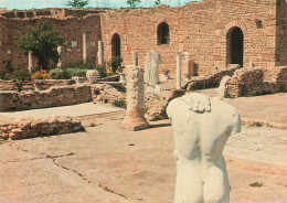 Delcampe - TUNISIE CARTHAGE L ANTIQUARIUM - Tunesien