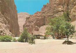 Delcampe - MAROC TINERHIR LES GORGES - Sonstige & Ohne Zuordnung