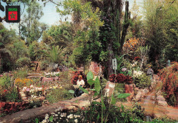 Delcampe - MAROC RABAT JARDIN EXOTIQUE - Sonstige & Ohne Zuordnung