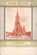 Delcampe - Passepartout Lithographie Ulm An Der Donau, Münster - Sonstige & Ohne Zuordnung