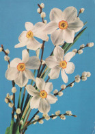 Delcampe - FLOWERS Vintage Ansichtskarte Postkarte CPSM #PAR022 - Blumen