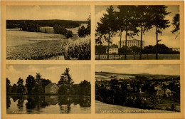 Delcampe - Idyll Von Teichwolfsramsdorf - Greiz