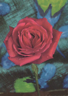 Delcampe - FIORI Vintage Cartolina CPSM #PAS296 - Blumen