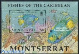 Delcampe - Montserrat 2002 Queen Angelfish S/s, Mint NH, Nature - Fish - Fische