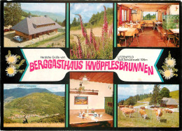 Delcampe - CPM Berggasthaus Knopflesbrunnen Schwarzwald - Hochschwarzwald