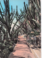 Delcampe - MONACO PRINCIPAUTE DE MONACO JARDIN EXOTIQUE - Sonstige & Ohne Zuordnung