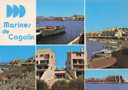 Delcampe - 83 COGOLIN MARINES DE COGOLIN - Cogolin