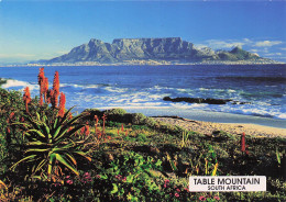 Delcampe - AFRIQUE DU SUD LE CAP TABLE MOUNTAIN - Südafrika