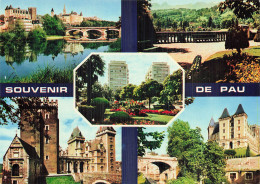 Delcampe - 64 PAU LES PYRENEES - Pau