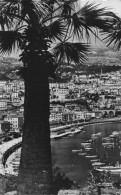 Delcampe - MONACO MONACO LE PORT ET LA CONDAMINE - Sonstige & Ohne Zuordnung