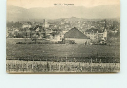 Delcampe - BELLEY Vue Générale TT 1408 - Belley