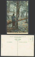 Delcampe - Singapore Old Colour Postcard Malay Tapper Tapping Rubber Trees Dutch Method 133 - Non Classés
