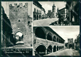 Delcampe - Macerata San Ginesio Saluti Da Foto FG Cartolina KF1828 - Macerata