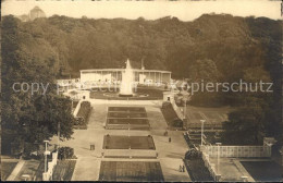 Delcampe - DRESDEN Elbe Park Vom Hotel Bellevue - Dresden