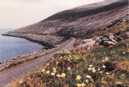 Delcampe - IRLANDE THE BURREN THE BURREN CO CLARE - Sonstige & Ohne Zuordnung