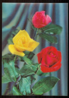Delcampe - CARTE A SYSTEMES Carte En Relief Fleurs Roses - Dreh- Und Zugkarten