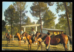 Delcampe - CASTELJALOUX  Le Club Hippique En 1972 édition As GM V - Casteljaloux