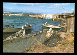 Delcampe - SETE CETTE Les Cabanes De Pêcheurs En 1981 édition Diffu Cartes GM V - Sete (Cette)
