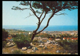 Delcampe - SETE CETTE Vue Panoramique Sur La Corniche En 1980 édition As GM V - Sete (Cette)