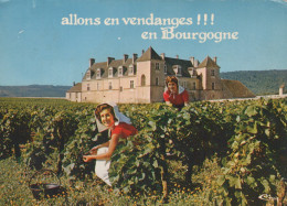 Delcampe - France Mâcon Two Women Harvesting Grapes In A Vineyard With A Unposted *YAN569 - Macon
