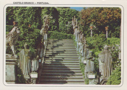 Delcampe - Portugal Castelo Branco City Hall Gardens The Apostles Steps Unposted *YAN565 - Castelo Branco