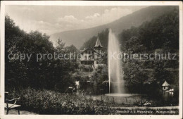 Delcampe - Neustadt Weinstrasse Koenigsmuehle Fontaene - Neustadt (Weinstr.)