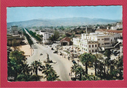 Delcampe - ALGERIE - PHILIPPEVILLE - SKIKDA - Avenue Raymond Barrot - Skikda (Philippeville)