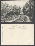 Delcampe - Ceylon Old Postcard Sea Side Railway Passing Cocoanut Estate, Colombo, Railroads - Sri Lanka (Ceylon)