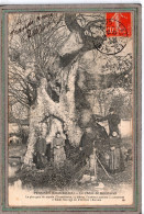 Delcampe - CPA - Environs De SAINTES (17) PESSINES - Thème: ARBRE - Aspect Du Chêne De Montravail En 1908 - Saintes